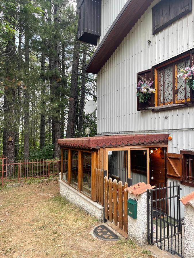 La Veranda Nella Neve - กามิลยาเตลโล ซีลาโน ภายนอก รูปภาพ