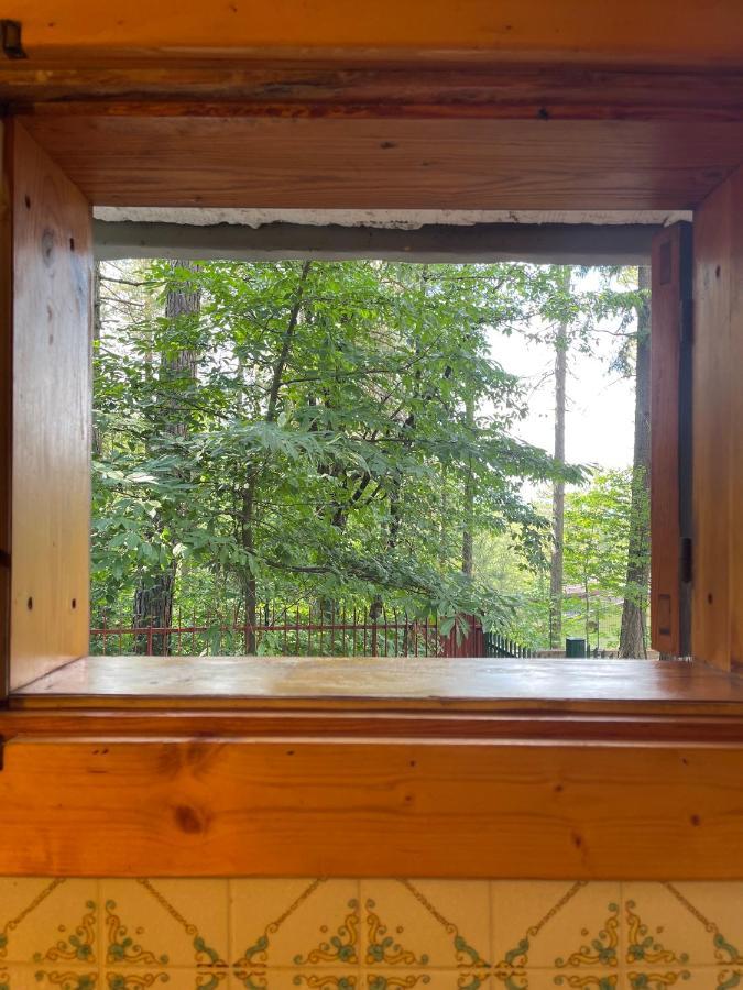 La Veranda Nella Neve - กามิลยาเตลโล ซีลาโน ภายนอก รูปภาพ