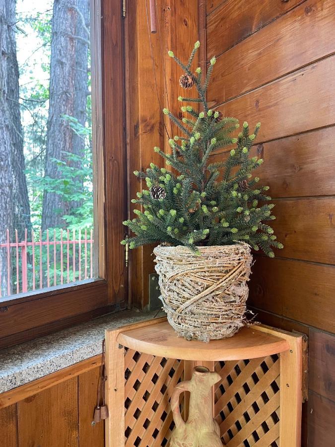La Veranda Nella Neve - กามิลยาเตลโล ซีลาโน ภายนอก รูปภาพ