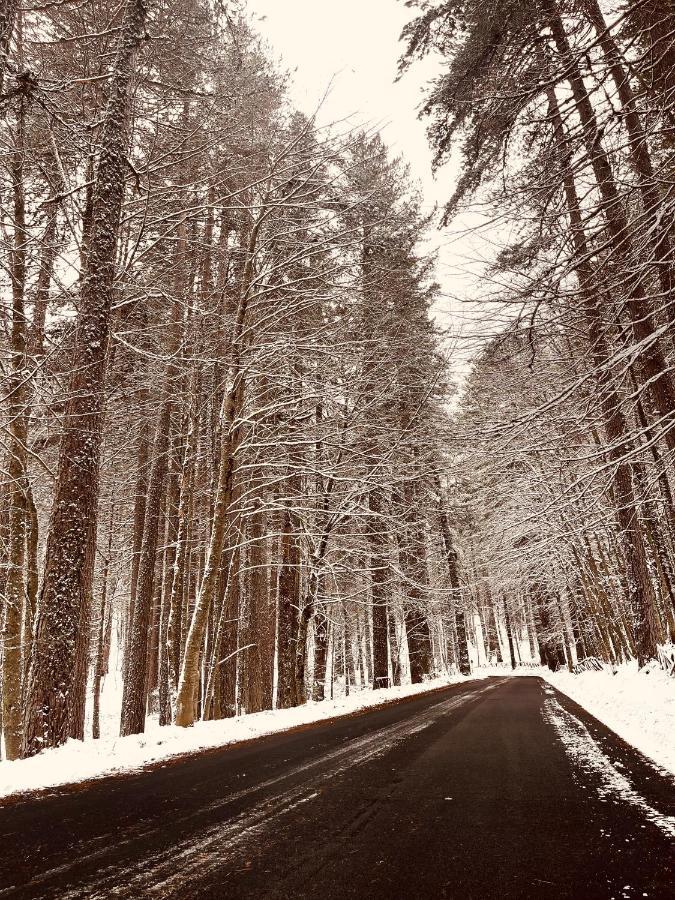 La Veranda Nella Neve - กามิลยาเตลโล ซีลาโน ภายนอก รูปภาพ